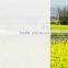 non transparent etched protective frost window film for glass