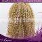 Newly arrival wholesale blonde synthetic lace front wigs