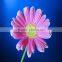 Fresh cutting gerbera fresh cut flowers real touch gerbera
