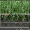 Football field artificial lawn