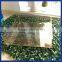 Personalised elegant acrylic fruit tray supplies