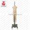 Lowest Price Kids Asia Standard Size Vintage Adjustable Mannequin