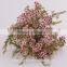 valentine's day wholesale fresh cut red wintersweet flower