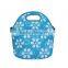 Travel Outdoor Cooler Thermal Waterproof Lunch Bag Picnic Tote Box Container Insulated School Carry Handle Tote lunch bag