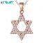 Women 925 Sterling Silver Zircon Star CZ Pendant Necklace Chain Jewelry