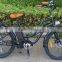 Best Electric Bicycles 2016 Adult Electric Bike for Ladies