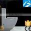 Washdown P-trap 180mm One Piece Toilet