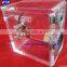clear acrylic audio case