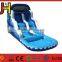 Inflatable Slide Type Customized Dolphin Inflatable Water Slides For Sale
