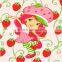 healthy and delicious strawberry chocolate snack food61