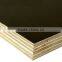 China Suppliers Finished Plywood/melamine plywood/3mm melamine faced plywood