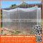 Chinese manufacture 20/30/40/50 mesh hdpe plastic agriculture greenhouse vegetable and fruit anti-insect net , nylon insect net