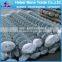 Factory galvanized Chicken wire mesh