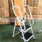 2 step safety ladder