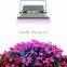30W full spectrum COB grow LED flood light for hydroponic greenhouse systems