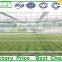 agriculture greenhouse rolling bench