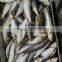 Food Wholesale of Sardine