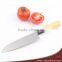6.7"stainless Steel Santoku Knives,kitchen Knives With Wooden Coating Plastic Handle