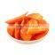 Top quality fresh vegetables Chinese fresh carrots