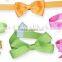 Newest top sell elastic bow tie for hang tag