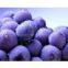 Blueberry Extract Juice 65 Brix