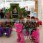 HI coin operated walking animal rider for mall