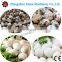 Automatic Quail egg peeling machine quail egg peeler