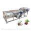 Automatic Fruit Peach Olive Washer Chili Vegetable Washing Machine
