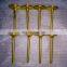 Gold  intake exhaust engine valve