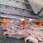 Made in China poultry slaughter machine chicken feet boiling machine peeling machine