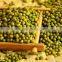 Organic green mung bean