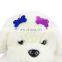 Best Selling Dog Bone Multicolor Pet Identity Card