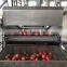 CE fully automatic  industrial tomato vegetable washing machine price