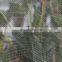 HDPE 40x25mesh Anti Insect net for Agricultural Greenhouse