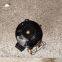 air conditioning unit refrigeration accessories ZRD72KCE-TFD-433