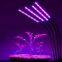 2FT LED Plant Grow Light, 2000LM Brightness, Ideal for Seedlings & Microgreens