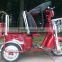 3 Wheel Electric Bike With Battery