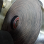 ST500-ST5400-Heavy Duty Steel Cord Rubber Conveyor Belt/Customized Ep100 Ep150 Ep200 Ep250 Rubber Conveyor Belt for Concrete Coal Mining Industrial