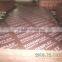 Russia market film faced plywood,Romania market film faced plywood