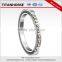 VAWT wind turbine slewing ring bearing