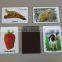 interesting room decoration pvc fridge magnet sticker