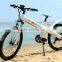 Seagull aluminum e-bike battery case