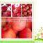 Fresh Style fruit qinguan apple products fuji apples wholesale with cheap products