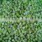 IQF frozen kiwi diced with good quality for sale