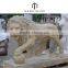 The most beautiful& best quality china live lion sculpture