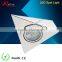 steel shape triangle net light