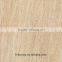 Sand Stone Tile SY6018
