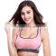 Fashionable Breathable Seamless Bra with Removable Pad,Lady's Fitness Wear Training Wear space Dye Sport Bra