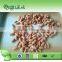 popular 400g canned light speckled kidney beans to yemen market