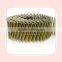China  supplier high quality yellow shank new coil nail
